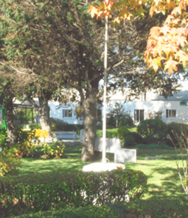 10_Campo