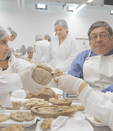06_Laboratorio