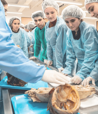 14_Laboratorio