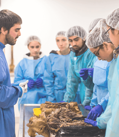 15_Laboratorio