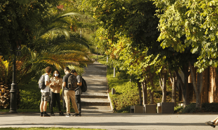 Mas de 500 becas UANDES 